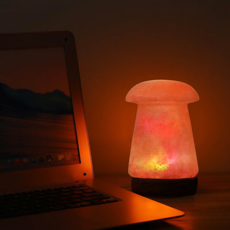 Himalayan Salt - USB Lamp Mushroom Shape (5 inches, 2 lbs.) Best Gift Item