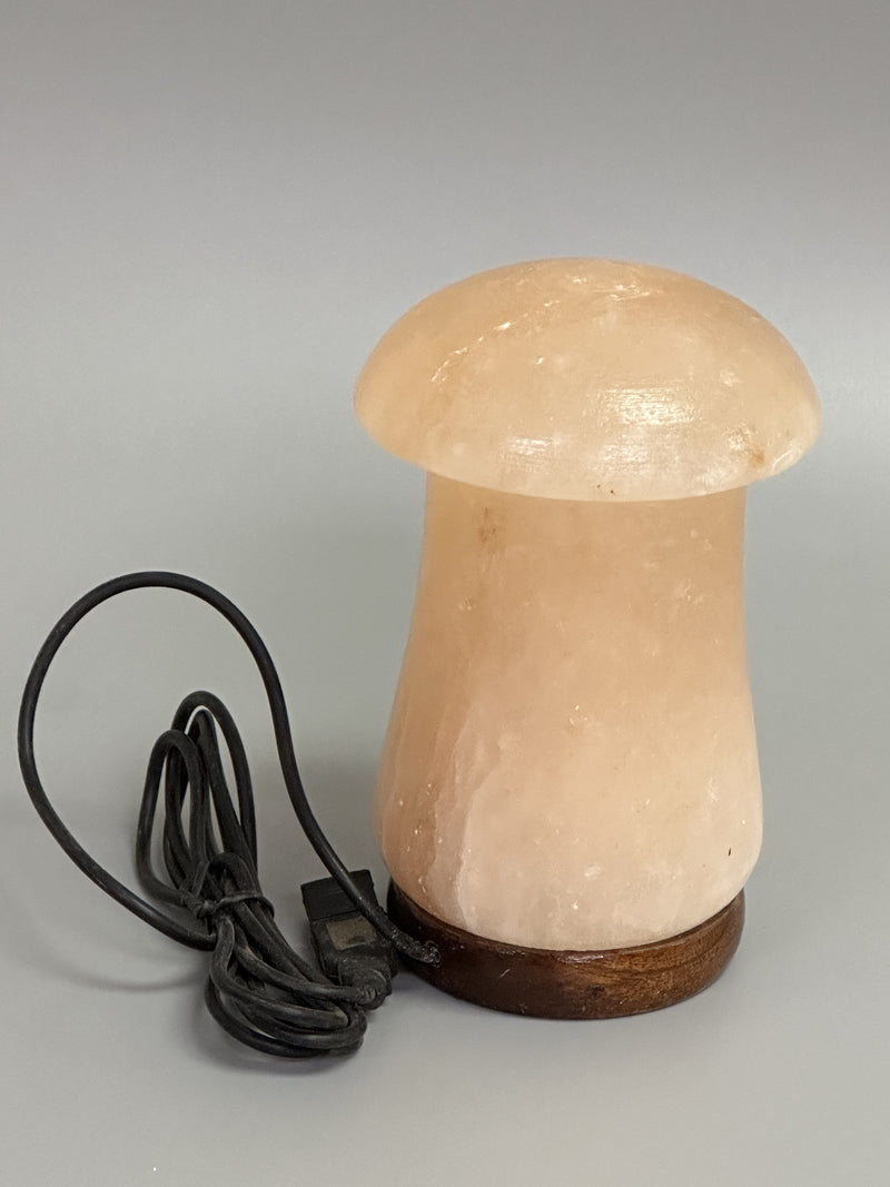 Himalayan Salt - USB Lamp Mushroom Shape (5 inches, 2 lbs.) Best Gift Item
